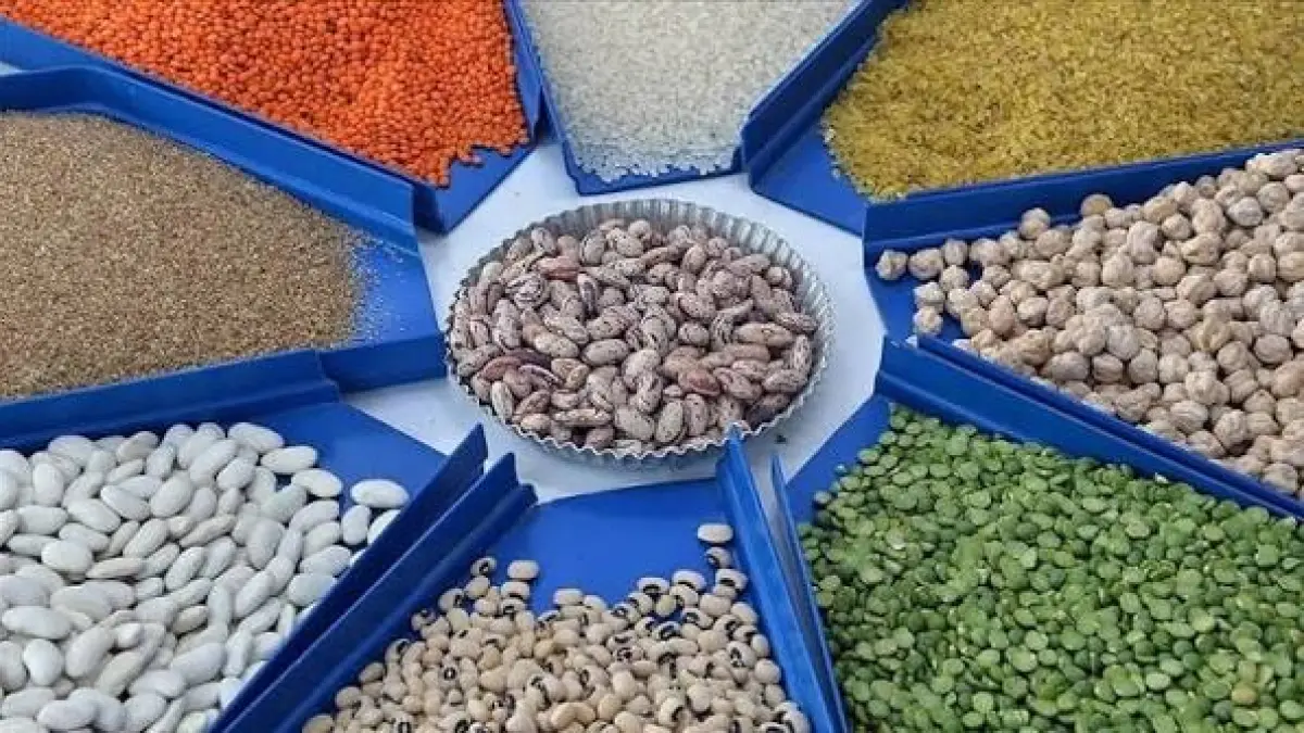Kahramanmaraş Elbistan'da desteklenen tarımsal ürünler açıklandı