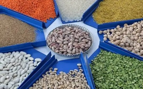 Kahramanmaraş Elbistan'da desteklenen tarımsal ürünler açıklandı